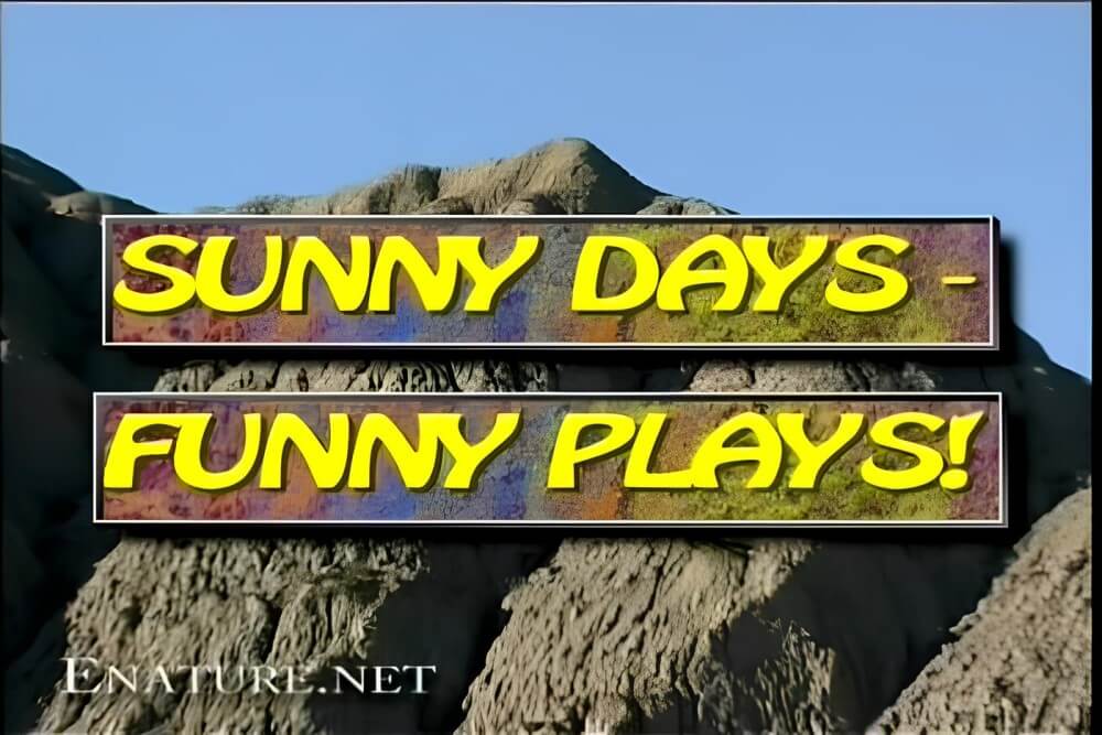 Enature - Sunny Days – Funny Plays - In naturism, sincerity and openness toward others are valued