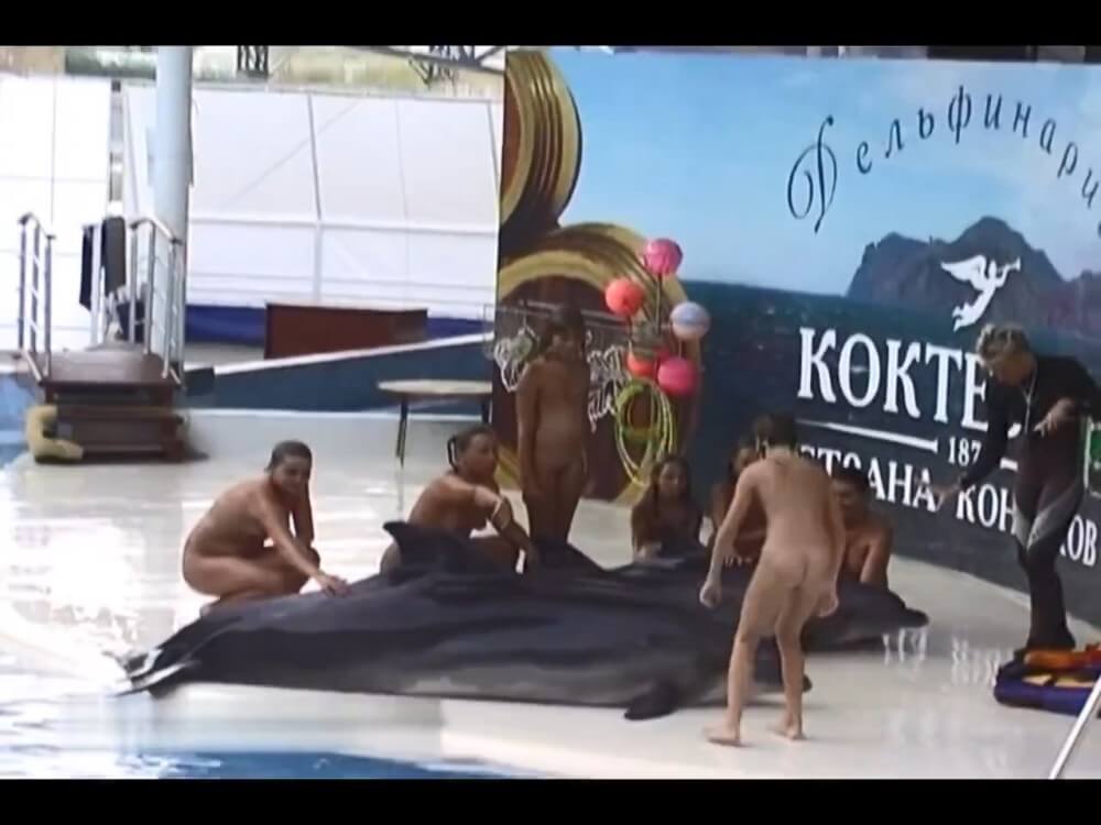 Relaxing at the dolphinarium - Watching us naked in nature