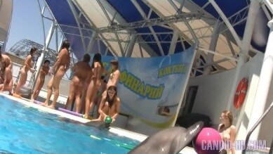 Amazing Dolphin Encounter HD video - Nature serves as the bodys natural clothing